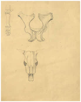 Visualizza l'immagine "FD D 2542"